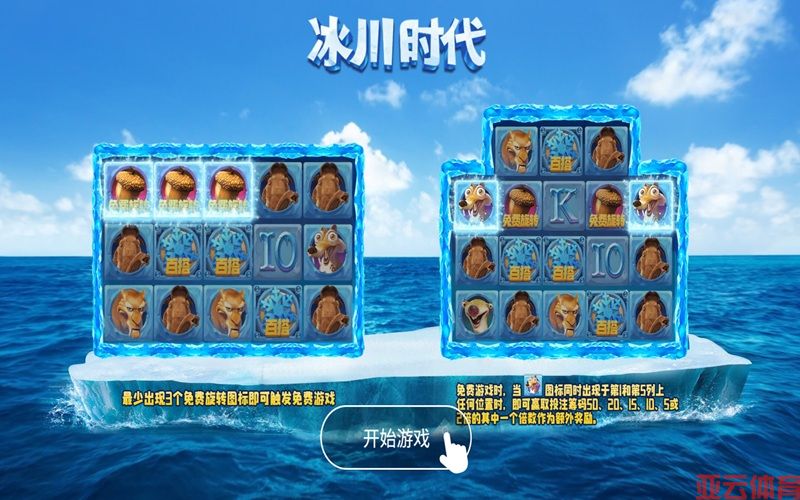 极地动物齐上阵，陪你开启冰原之旅